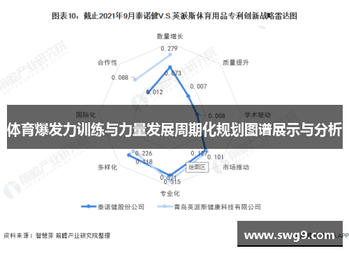 体育爆发力训练与力量发展周期化规划图谱展示与分析